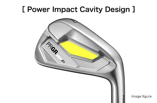 gay prgr 26 01 iron 9
